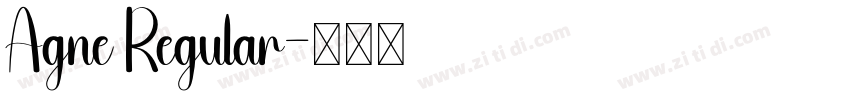 Agne Regular字体转换
